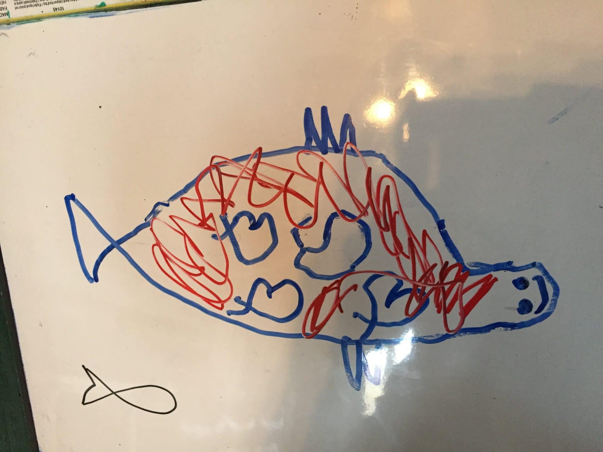 Gifted learning project.